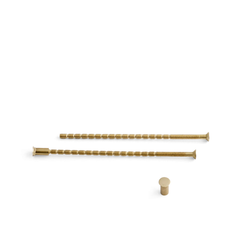 2 pcs. knurled screws - M4 105 mm - TX10 screw head