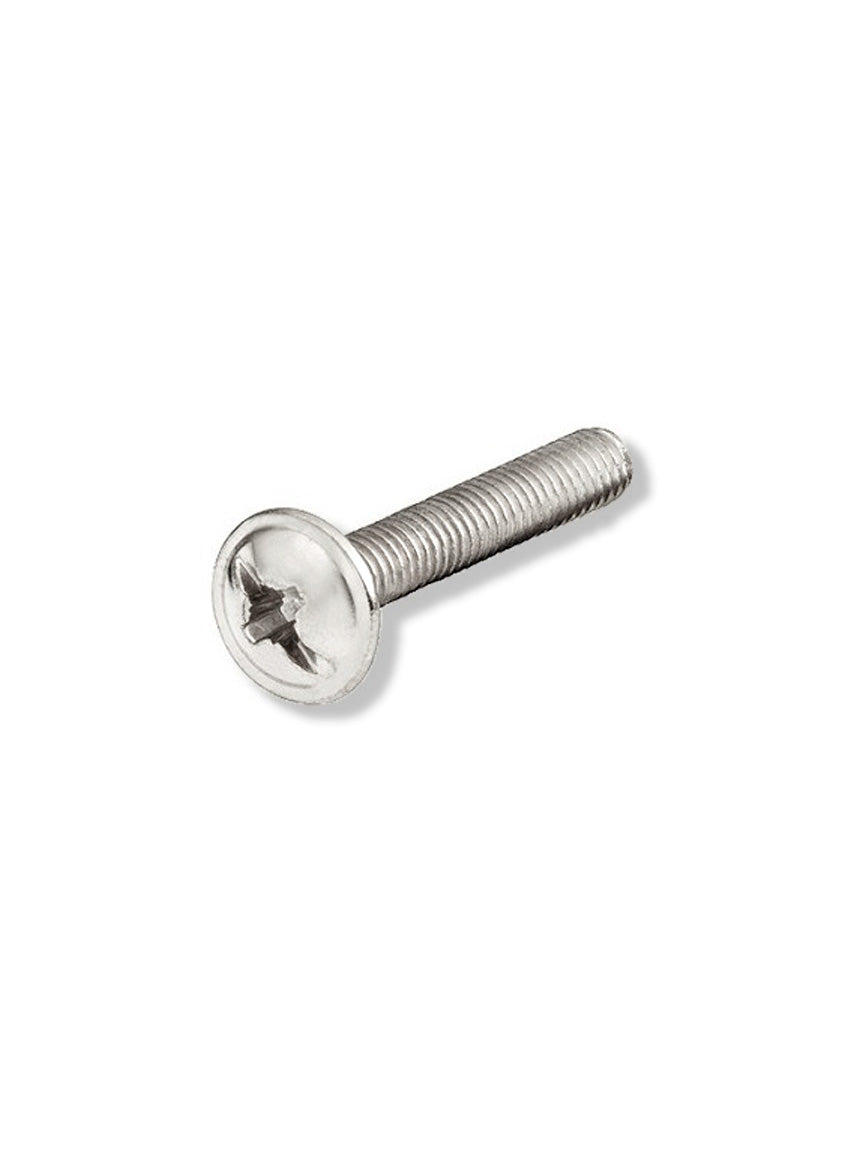 M4 Screw 25 mm.